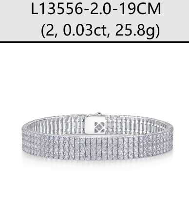 Bracelet Tennis Five Row Moissanite VVS – S925