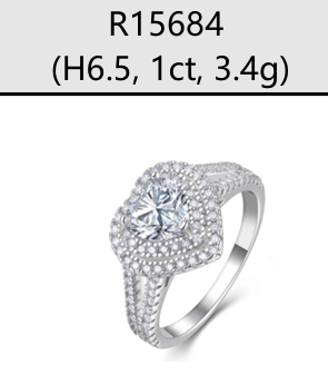 Ring Round Double Halo Moissanite VVS – S925