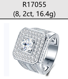 Princess Solitaire Double Halo Signet Ring Moissanite VVS – S925