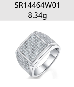 Rectangular Full Pavé Signet Ring Moissanite VVS – S925